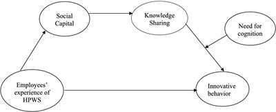 The impact of employees’ experience of high-performance work systems on innovative behavior in professional service firms